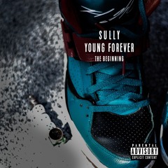 Irregular HeartBeat - Sully (YoungForever)