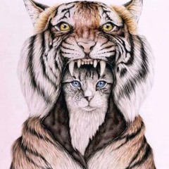 Tiger´s Revenge! (Original Mix)
