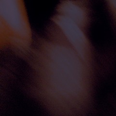 THE FEEDING (ACOUSTIC DEMO)