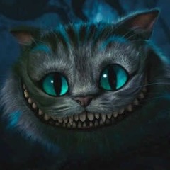 Bounce Little Kitty Vs. Cheshire Cat Vs. Robo Kitty (Spencer Barnes Mashup)