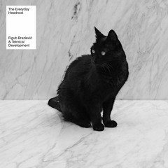 Tek & Figub - The Everyday Headnod LP SNIPPET (mixed by DJ Cutrock)