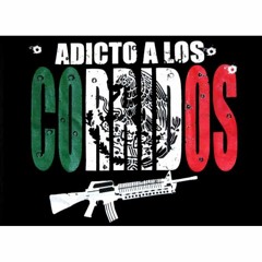 Corridos Bien Perrones Pa  Que Le Gustan Corridos Mix Mixtiado By Jrm Productions