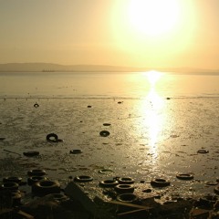 Rodman aka LUX Live At DownLow October 2006