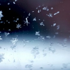 Where'd You Go - BOOTYFACES