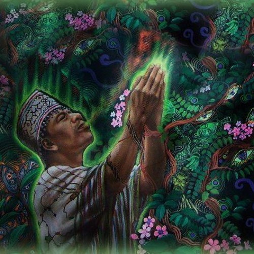 Espirito das Plantas :)☮ Venadito