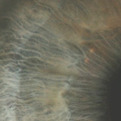 Alone And Afraid ft. Connor