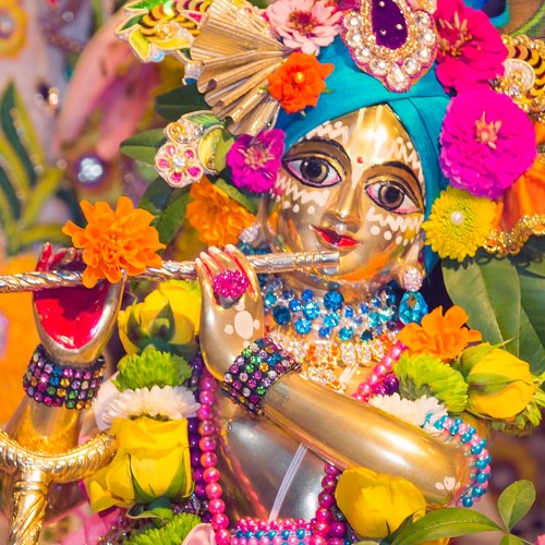 HH Niranjana Swami & Friends / Ocean Of Bliss (Jai Govinda Jai Gopal)