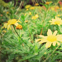 Magkaibigang Tunay - Musikatha Kids