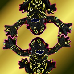 The Corroboree Frog Blues