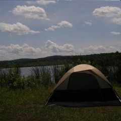 PLURAL OF MOOSE IS MOOSE