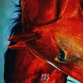 Jumping&#x20;Back&#x20;Slash Horses Artwork