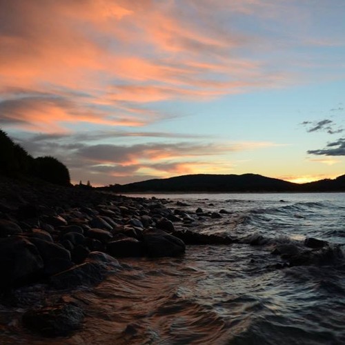 Golden Paradise (Moi's Mix)