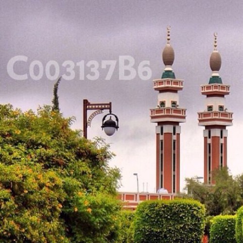 سورة الكهف - فارس عباد
