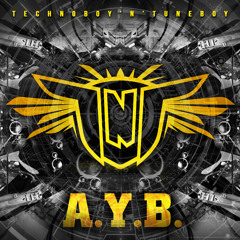 TNT  "A.Y.B."