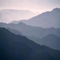 Yearning To See The Prophet