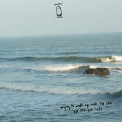 Trying To Walk Off Into The Sea But It's Too Late