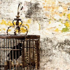 11:11 - Album: Speed of Life