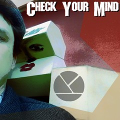 Check Your Mind (Original Mix)