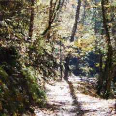 Light It Up Remix (R.Esistence in Dub)