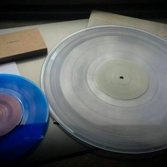 Nails Through Bird Feet