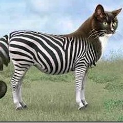 A Song a Fortnight #24: "The Old Switcheroo"