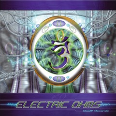 02 Fractal Glider - Chasing Ganesha