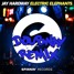 Electric Elephants (DoubWay Remix)