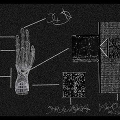 Skizo (Original Mix) Pol// No Master (Mental Group)