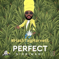 Perfect Giddimani feat. Lutan Fyah - When We Smoke [#HashTagHarvest | Giddimani Records 2015]