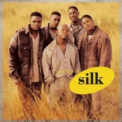 Silk - Meeting in my Bedroom (HotRod Remix)