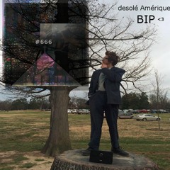 Bip - Desole Amerique - 03 Gallery Masterpiece