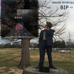 Bip - Desole Amerique - 04 Jelly Globe