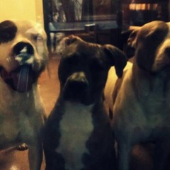 Better Than Having My Money