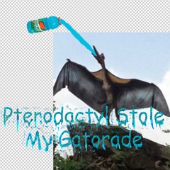 Pterodactyl Stole my Gatorade