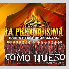 Sigue La Parranda- La Prendidisima Banda Perla De Jerz