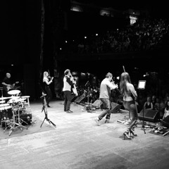 Electric Quartet Audio