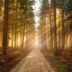 Progression (Instrumental)