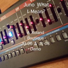 Juno What I Mean? (Roland Boutique JU06 & JX03 Demo)