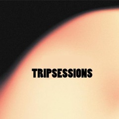 Tripsessions (2013)