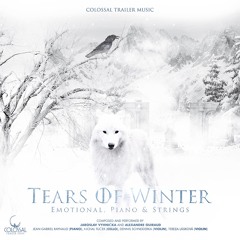 CTM013 - Tears Of Winter