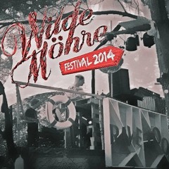 09 08 14 WILDE MÖHRE FESTIVAL 2014