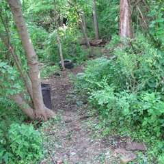 Belle of the Northern Winds