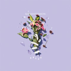 Slingshot Dakota - "Storytellers"