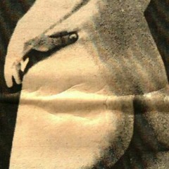 Frances Farmer (Will Have Her Revenge On Seattle)- Doll Steak Test Meat cover Nirvana