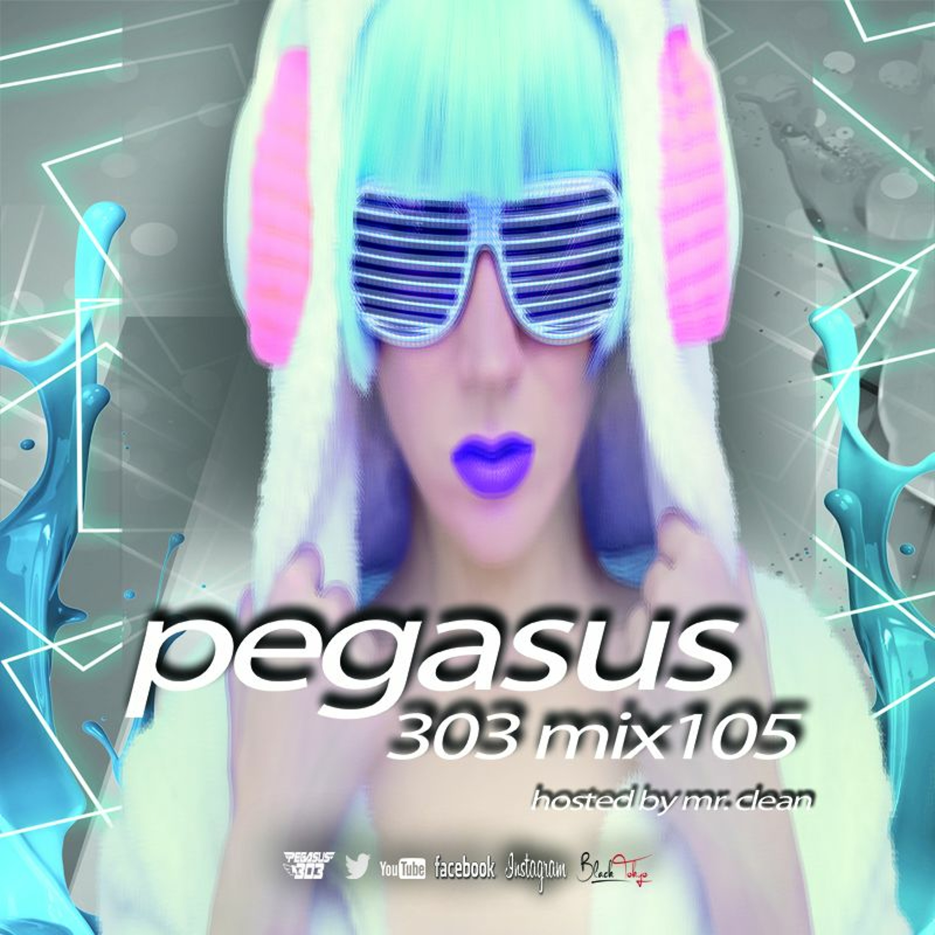Pegasus 303 (mrclean)