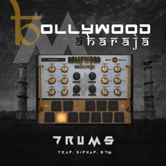 BM Drums plugin Demo - "Maharaja Film Score" -by- Gaurav Dayal