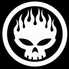 Why Don't You Get A Job (The Offspring Cover)