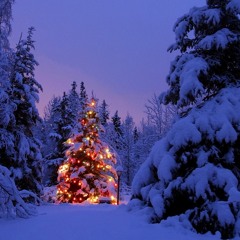 Have Yourself A Merry Little Christmas