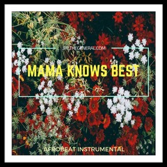 Mama Knows Best | Awilo Longomba Type Beat| Afrobeat Instrumental|SOLD