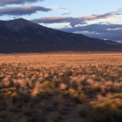 Blue Crystal Fire (Robbie Basho)